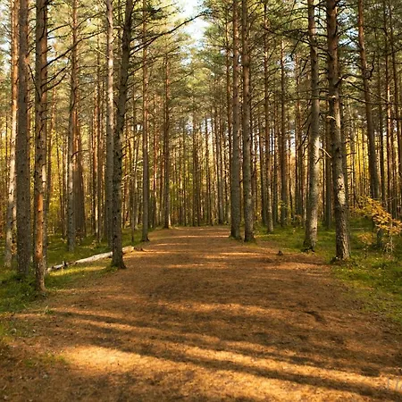 Lovely Nest In Nõmme