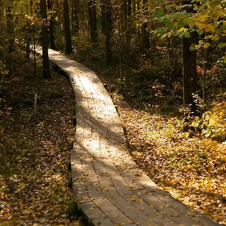 Lovely Nest In Nõmme *