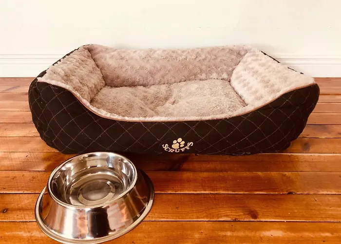 Lovely Nest In Nõmme *