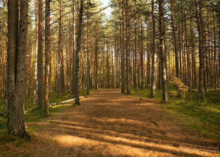 Lovely Nest In Nõmme