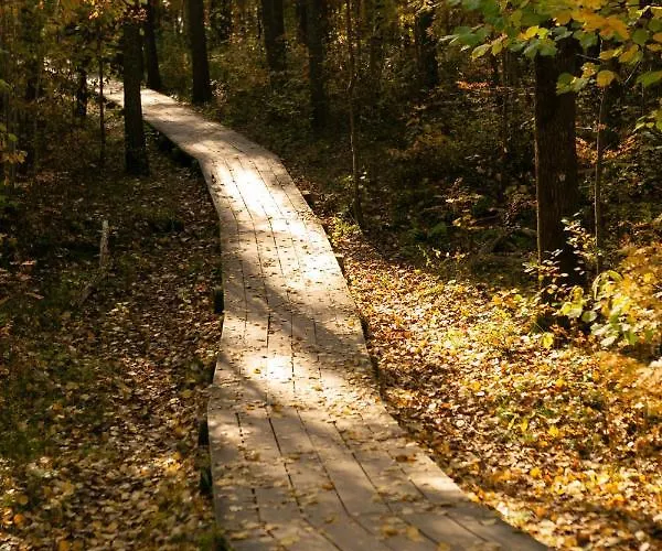 Lovely Nest In Nomme *